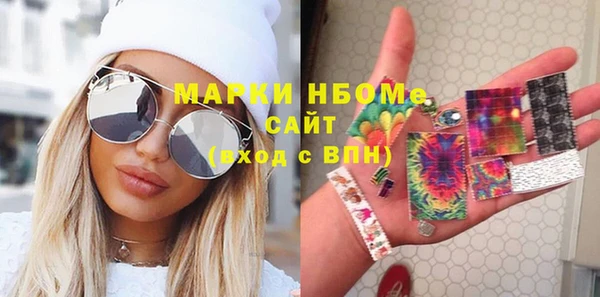 хмурый Дубна