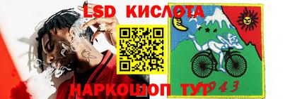 сатива Гатчина