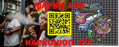 сатива Гатчина