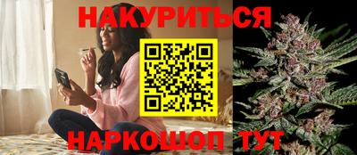 сатива Гатчина