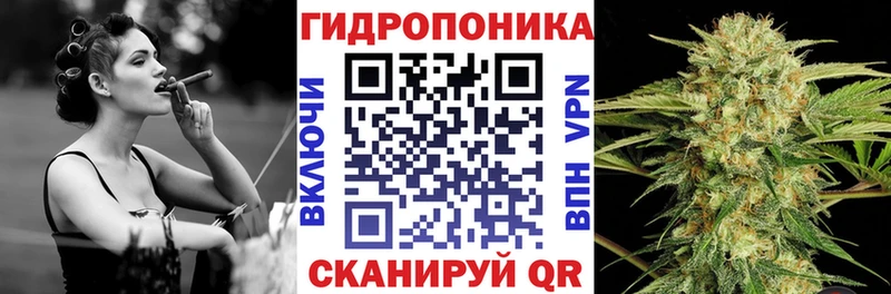 Бошки марихуана гибрид  Карачаевск 