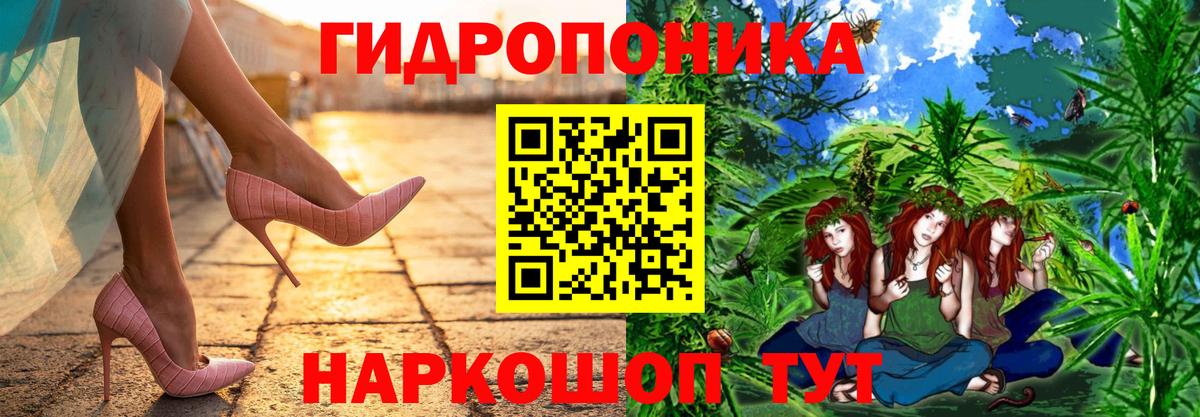 Каннабис сатива  Вход с VPN  МАРИХУАНА White Widow  Карачаевск 